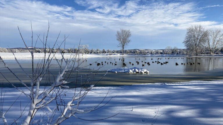 IMG-gallery-20
